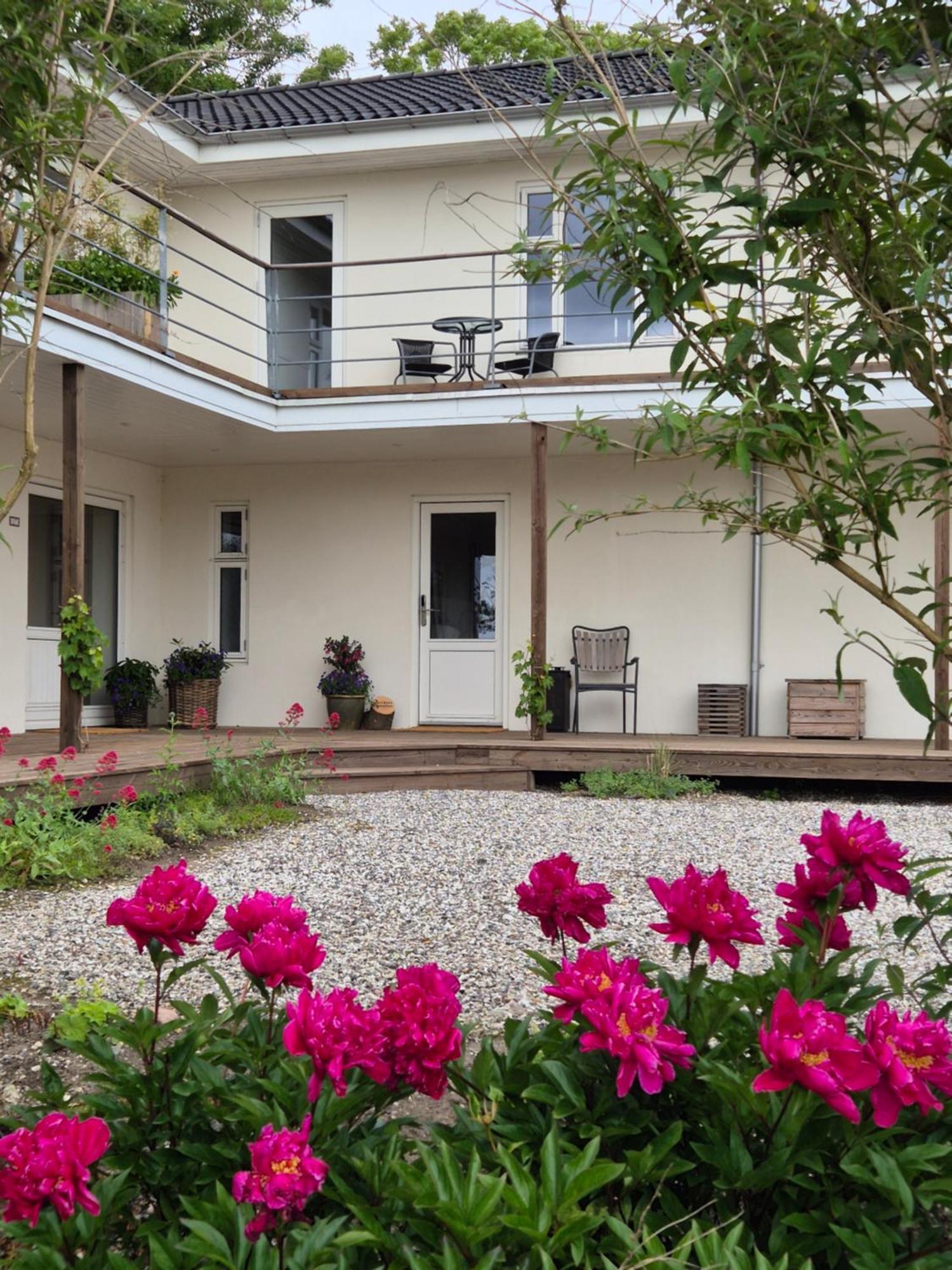 Mols Bed & Breakfast Knebel Eksteriør bilde